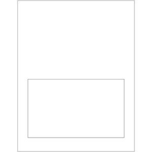 Laser Labels