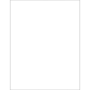 White Rectangle Laser Labels