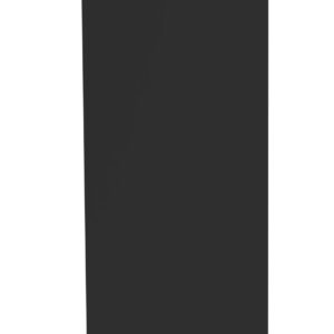A tall, flat, black panel or rectangle standing upright against a white background.